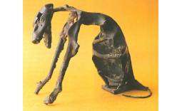 A Finger in The Wound